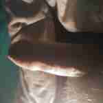 Im keen for a blowjob if your around north brissy
