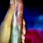 lickaluva