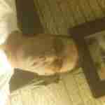 Bryanlee46