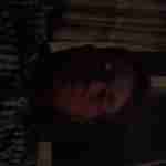 Travis_parks789