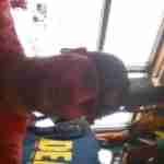 stetdog2