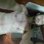 mayslick_ky_turk