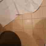 alihamad66