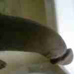 gudhead88