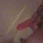 longd81491
