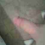 Logan_Schmaltz
