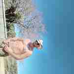 englishman0481