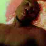 alfredx