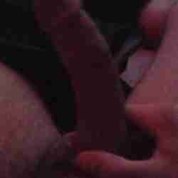 Noah386715