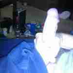 shane magz