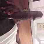 jockjock15