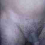 wilbur74