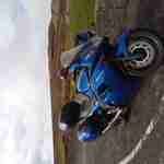 wolvesbiker