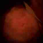 johno6913