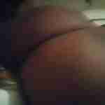 amero_untamed