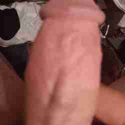 Letshavecarsex697