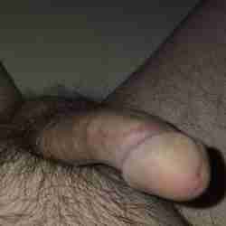 Sexyndog