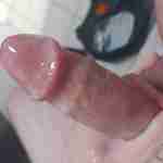 oralwizatd615