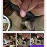 shawnbig2266