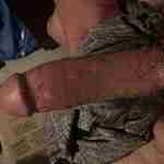 Hornyguy1985