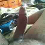 ronniebear88