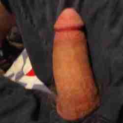 Bigbill10in