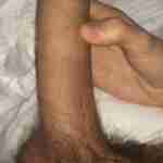 scrota