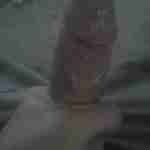 youngcock985ggmail