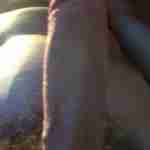 tripod8inch