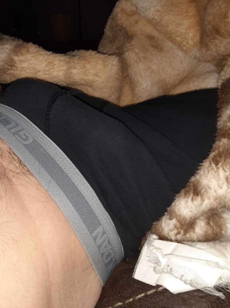 Feed me