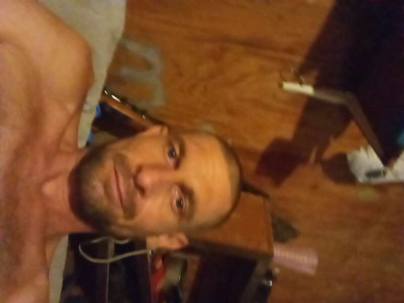 Looking for cougars