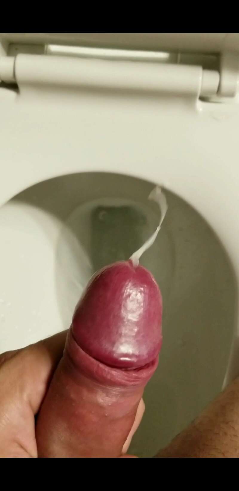 Iii