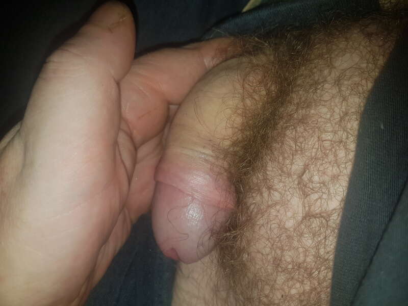 Young pussy