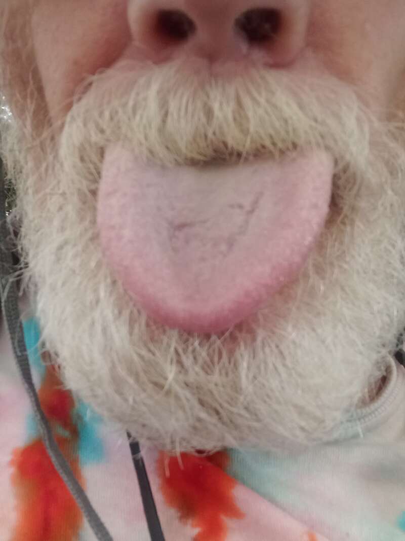 Lick,lick