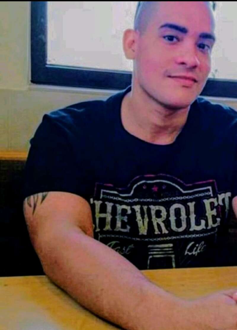 Italian Stud