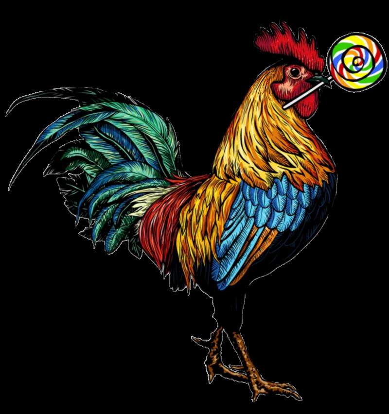 417 Looking for straight/bi guys to film