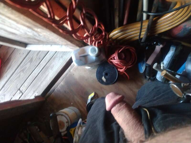 Let's have some adult fun