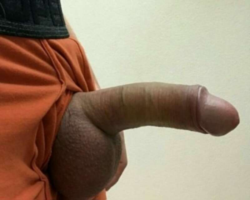 straight curious