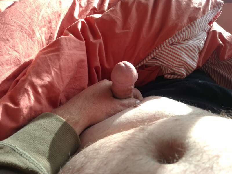 Looking for casual sex partners