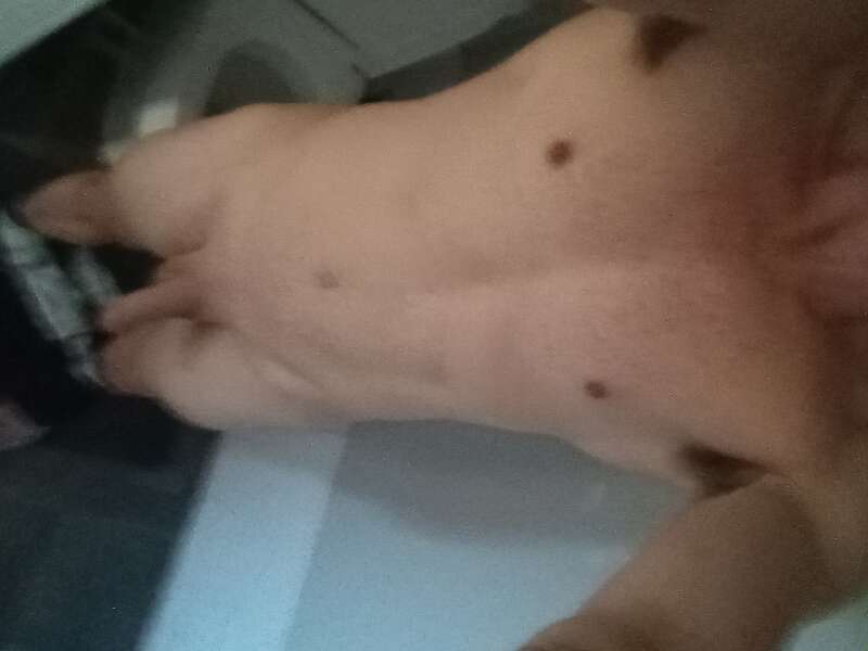 Fun with opened minded couple 40 and 35 . Ageplay. Anal