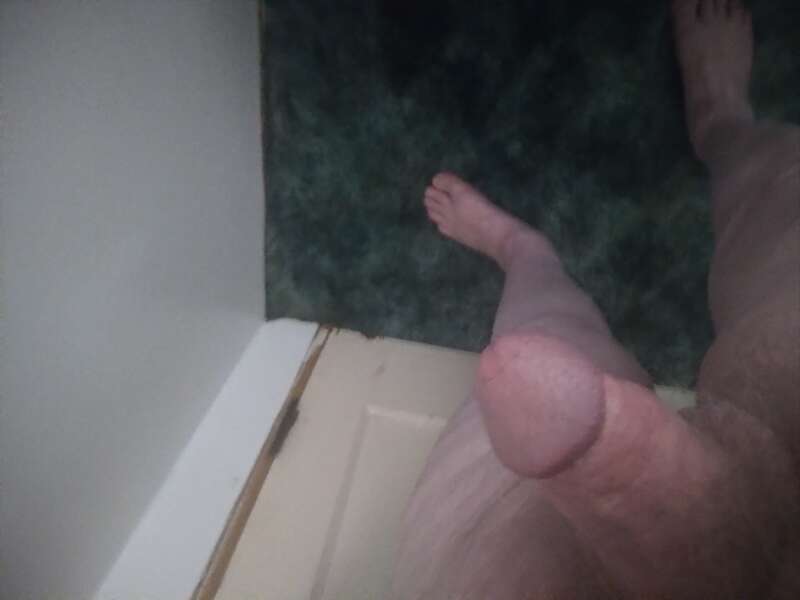 Horny cock