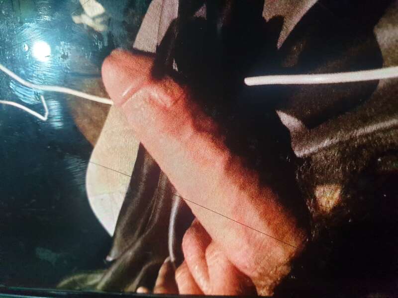 Campbelltown Girls call me now for 10 inches any hole anywhere tonight