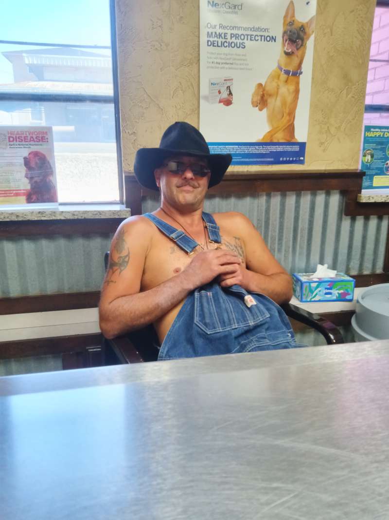 just want to have fun