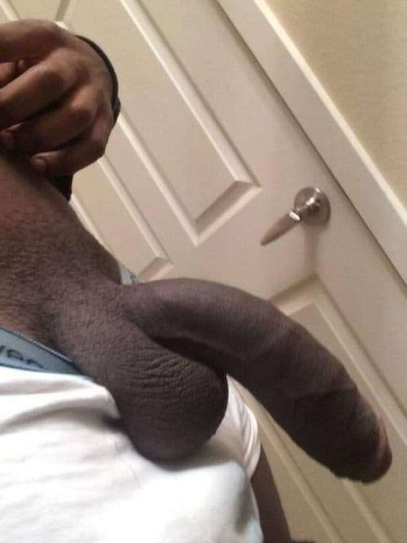 Bbc 12 inch