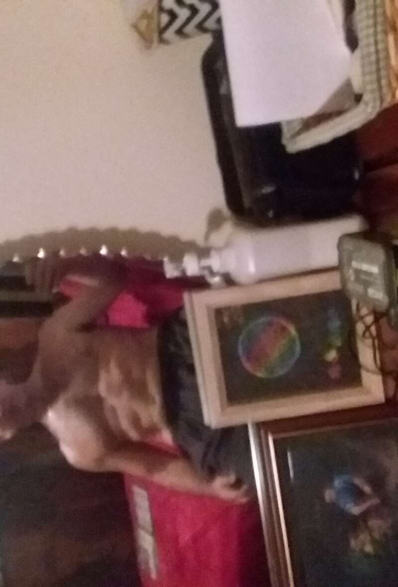 Looking for my first 3some