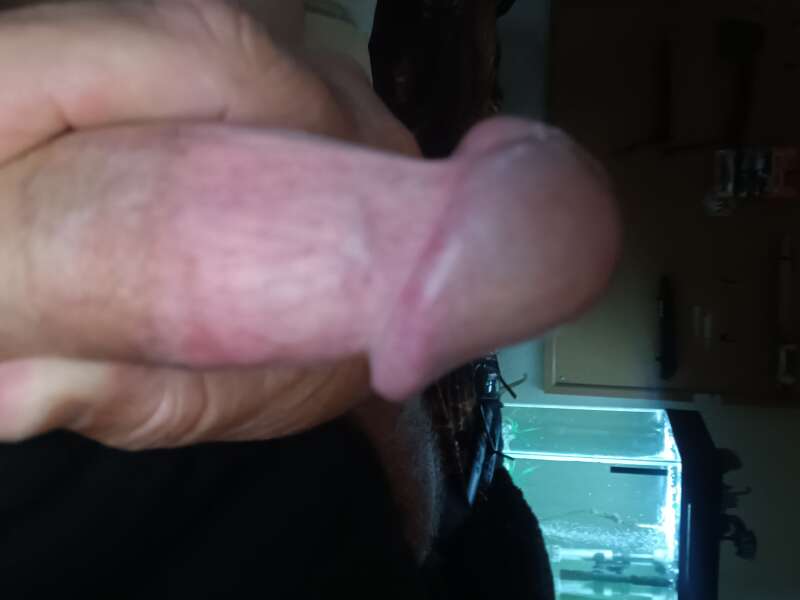 Jodyizhorny