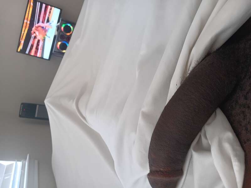 Women who want big dick am available