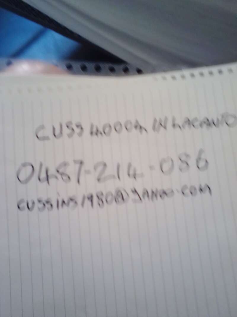 Looking for females to fuc