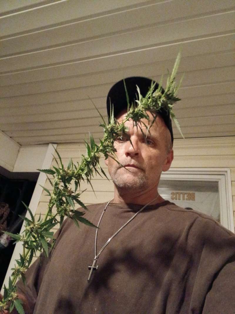 Looking for some fun